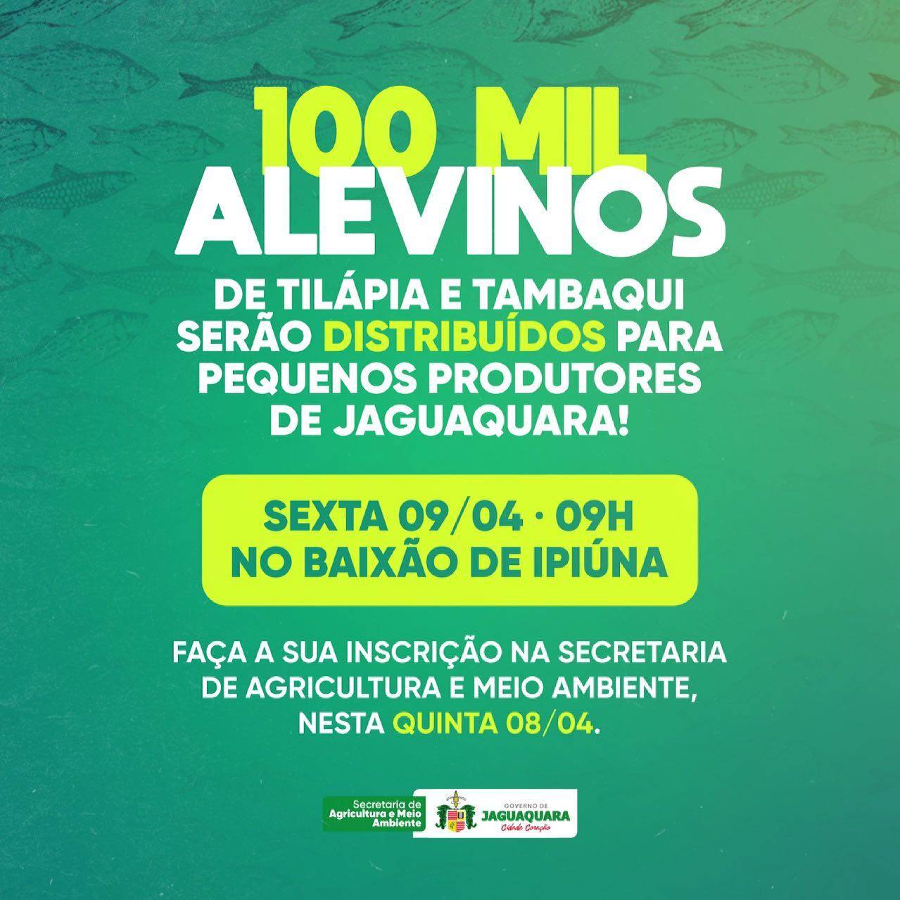 São Mais de 100 mil Alevinos 