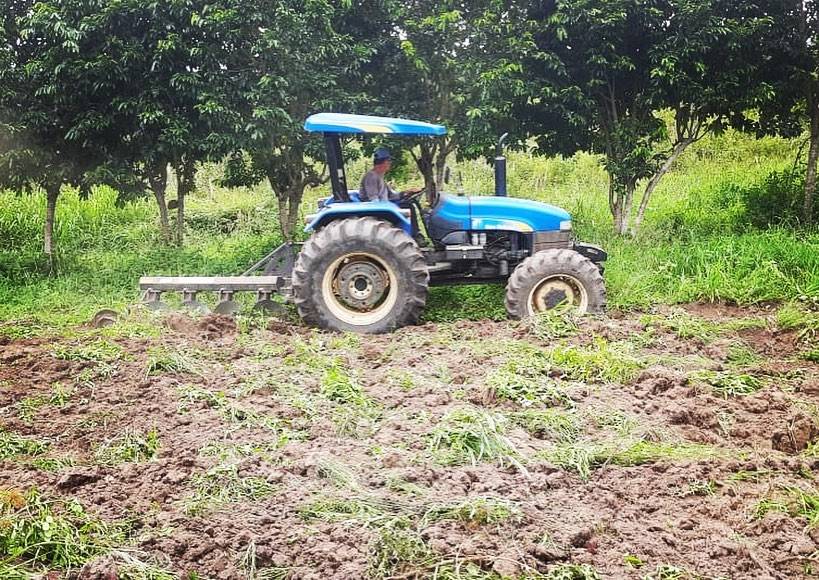 Assistência Técnica