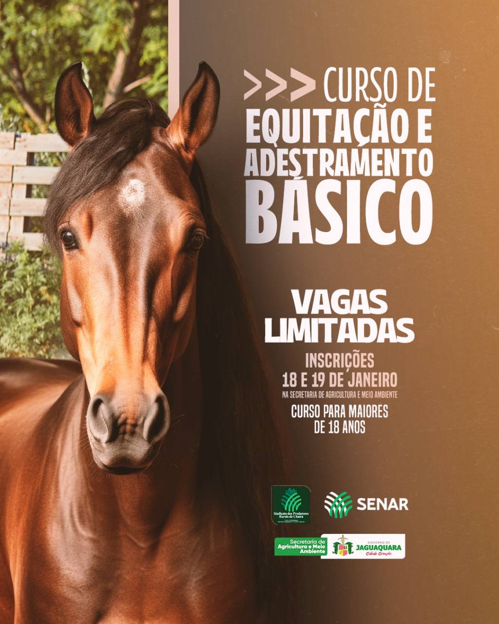 Curso de Equitação e Adestramento Básico