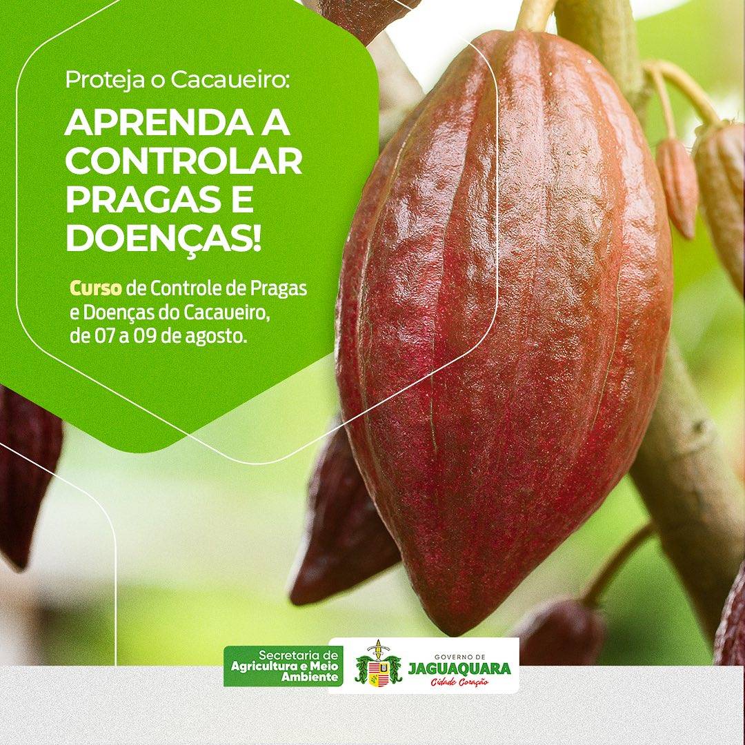 Curso de Controle de Pragas e Doenças do Cacaueiro