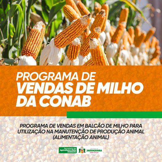 Programa de Vendas em Balcão de Milho