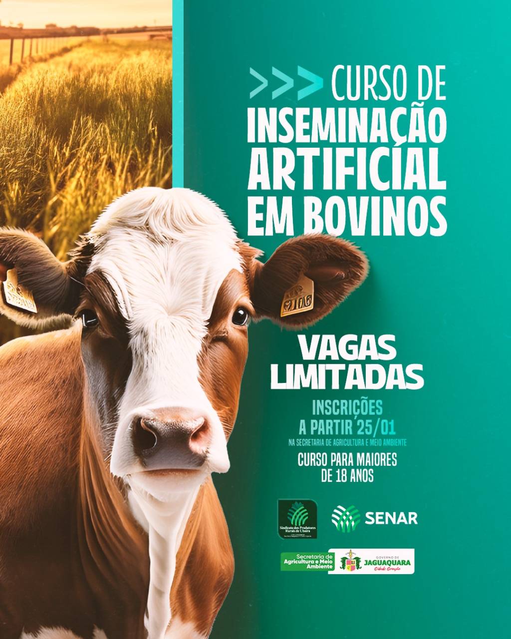 Curso de Inseminação Artificial em Bovinos