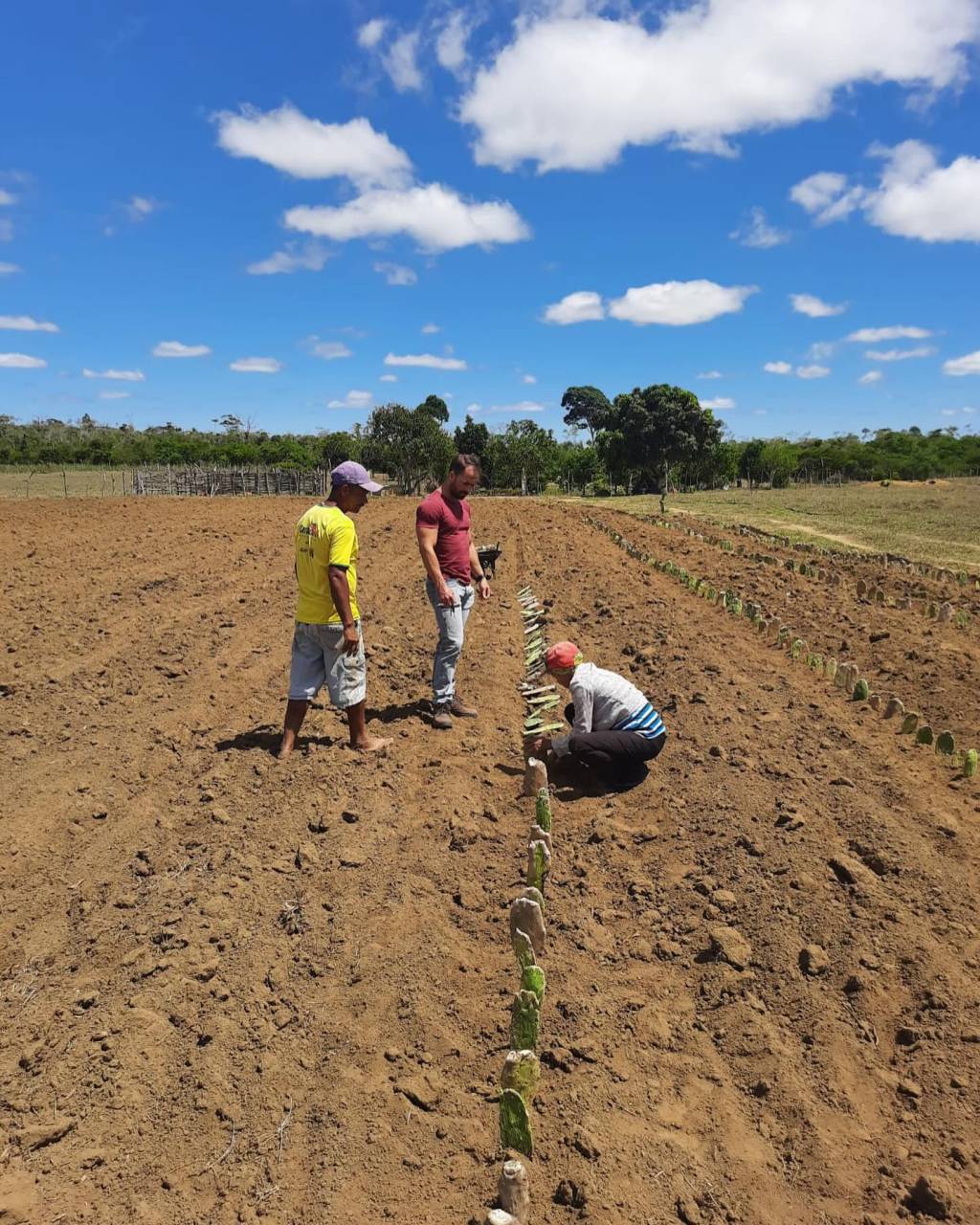 Visita técnica da Secretaria de Agricultura 